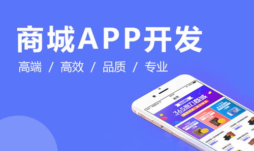 石家庄app开发 石家庄小程序开发 石家庄外包公司 河北专业的开发公司