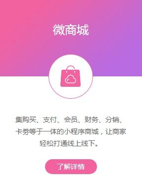 专业小程序定制开发服务 赋能企业数字化商城建设