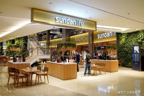 免费门店，年入400万 购物商城定制开发的创新商业模式启示