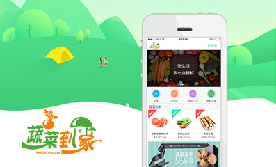 原生定制开发 构建高效在线预约APP与购物商城的战略优势