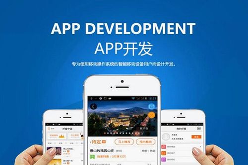 如何选择优秀的电商APP定制开发公司与购物商城系统供应商